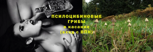 Альфа ПВП Армянск