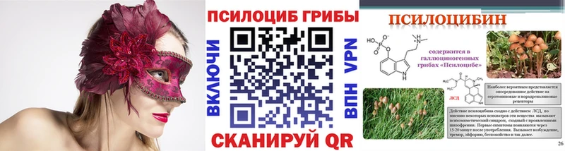 Псилоцибиновые грибы GOLDEN TEACHER Купить закладки Вилюйск